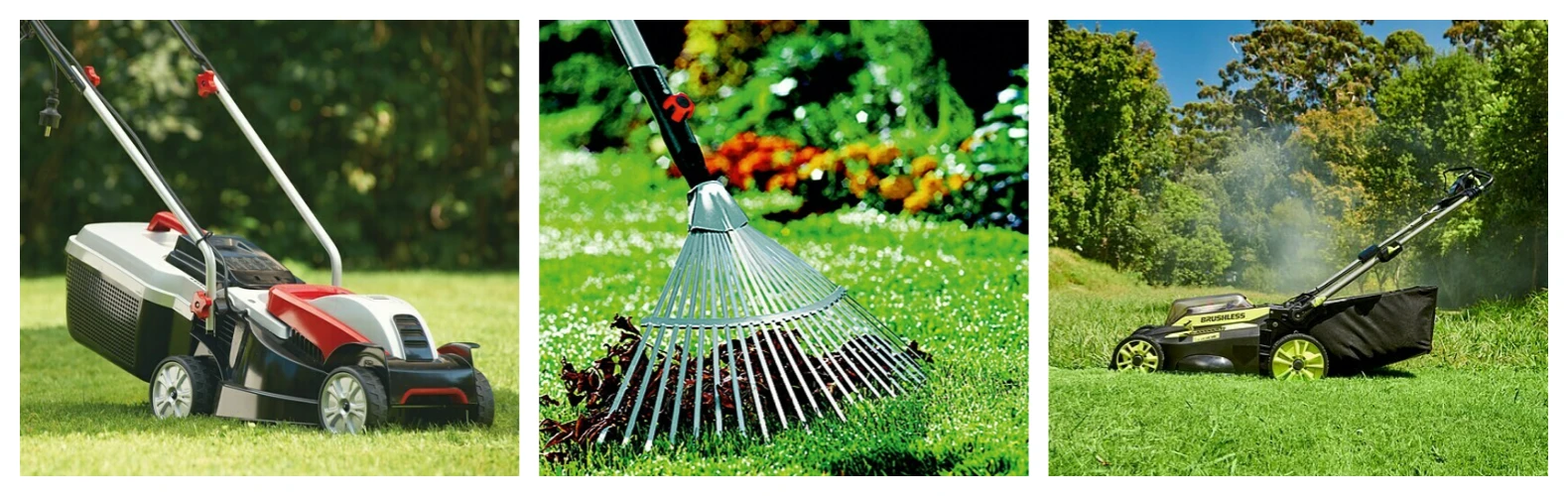 Bauhaus Shop -Bauhaus Shop Bauhaus 5